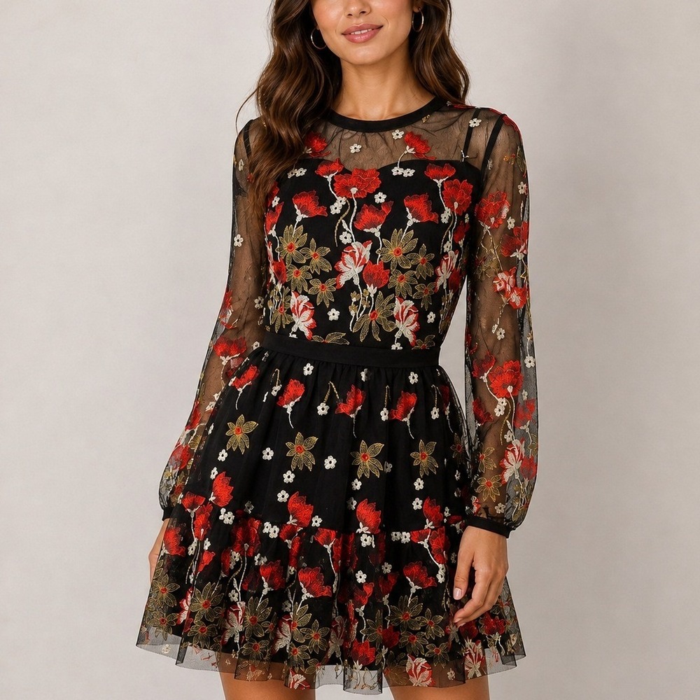 Bronx & Banco Mini Dress M Black Red Floral Embroidered Mesh Whimsigoth Cocktail